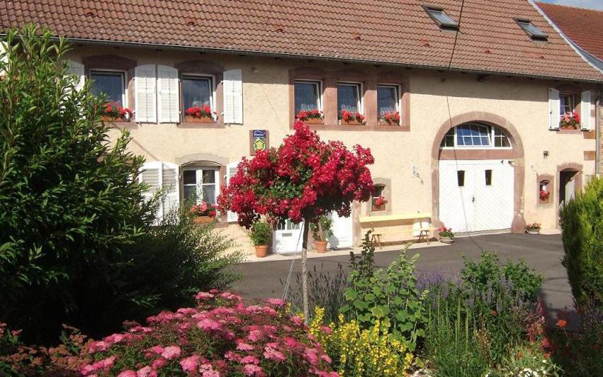 Chambre D'Hote Au Grenier D'Abondance Niderviller Экстерьер фото